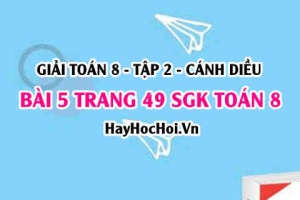 Bài 5 trang 49 Toán 8 Tập 2 Cánh Diều